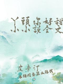 丫头你好甜慕小小小说全文免费阅读