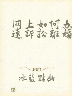 网上如何办理快速诉讼离婚