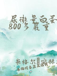 尿微量白蛋白1800多严重