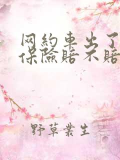 网约车出了事故保险赔不赔