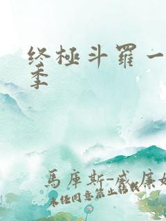 终极斗罗一共几季