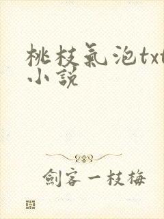 桃枝气泡txt小说