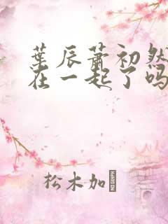 叶辰萧初然最后在一起了吗