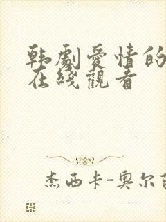 韩剧爱情的理解在线观看