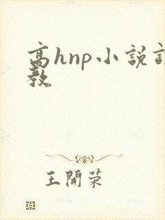 高hnp小说调教