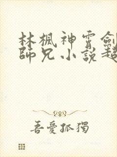 林枫神霄剑宗大师兄小说超前更新