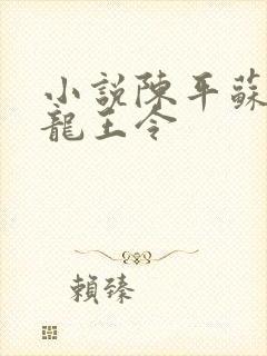 小说陈平苏雨琪龙王令