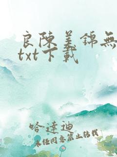 良陈美锦无删减txt下载