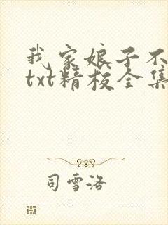 我家娘子不对劲txt精校全集下载