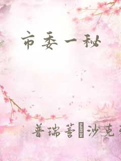 市委一秘