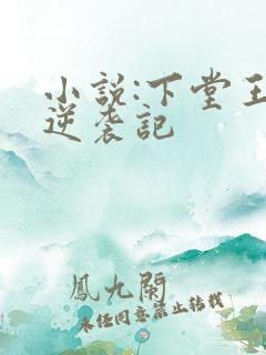 小说:下堂王妃逆袭记