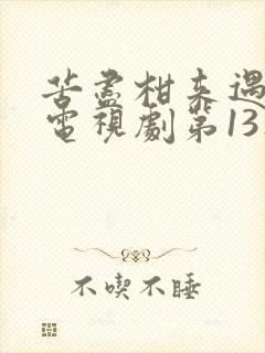 苦尽柑来遇见你电视剧第13集