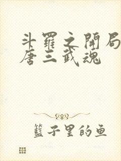 斗罗之开局揭露唐三武魂