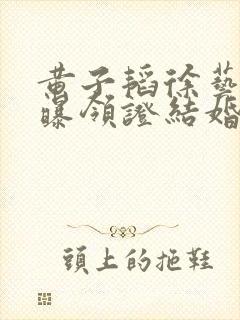 黄子韬徐艺洋被曝领证结婚