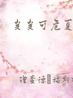 岌岌可危夏小正