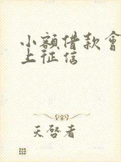 小额借款会不会上征信