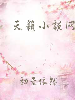天籁小说网