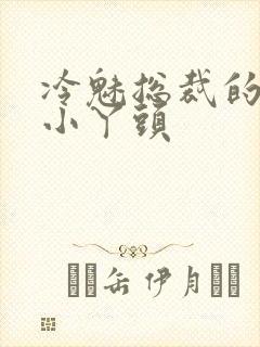 冷魅总裁的纯纯小丫头