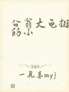 公翁大龟挺进我的小