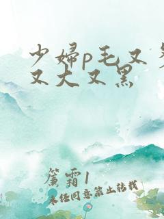 少妇p毛又多水又大又黑