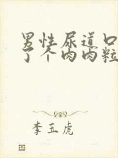 男性尿道口上长了个肉肉粒怎么回事