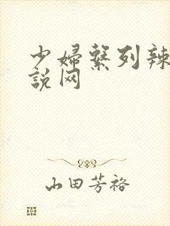 少妇系列辣文小说网