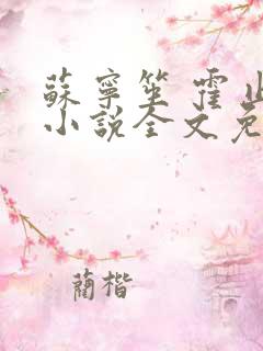 苏宁笙 霍止行小说全文免费阅读