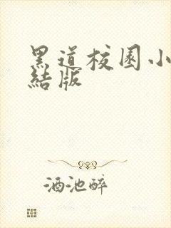 黑道校园小说完结版