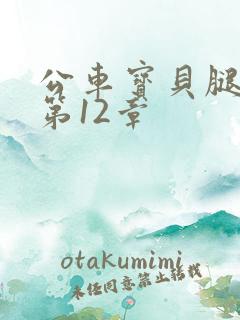 公车宝贝腿开点第12章