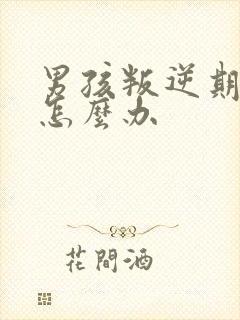 男孩叛逆期厌学怎么办