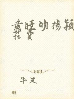 黄晓明杨颖婚礼花费