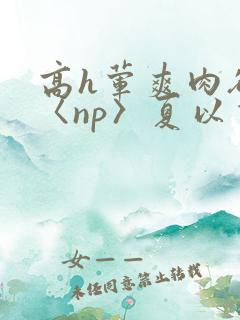 高h荤爽肉欲文〈np〉夏以昼