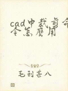 cad中裁剪命令怎么用