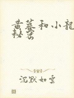 黄蓉和小龙女的秘密