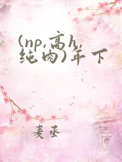 (np,高h,纯肉)年下