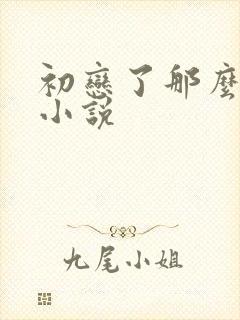 初恋了那么多年小说