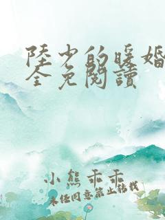 陆少的暖婚新妻全免阅读