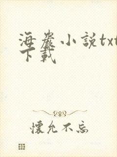 海岩小说txt下载