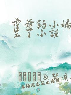 霍爷的小娇妻重生了小说