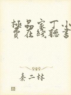 极品家丁小说免费在线听书