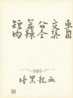 短篇公交车高h肉辣全集目录