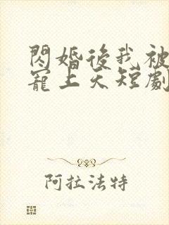 闪婚后我被大叔宠上天短剧在线观看