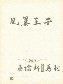 风暴王子