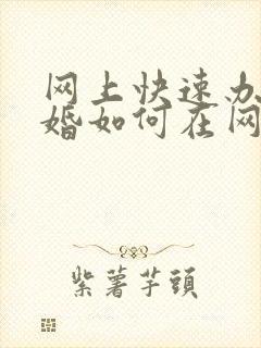 网上快速办理离婚如何在网上办理离婚