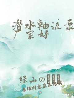 潜水轴流泵那个厂家好