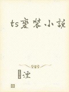 ts变装小说