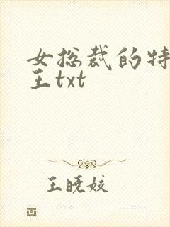 女总裁的特战兵王txt