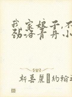 我家娘子,不对劲洛青舟小说无弹窗