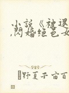 小说《被退婚后,闪婚绝色女总裁》