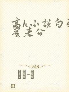 高h小说勾引闺蜜老公